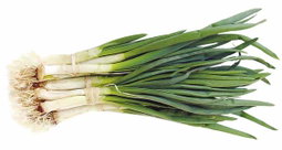 Ceapa verde legatura