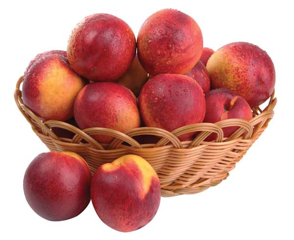 Nectarine vrac / kg