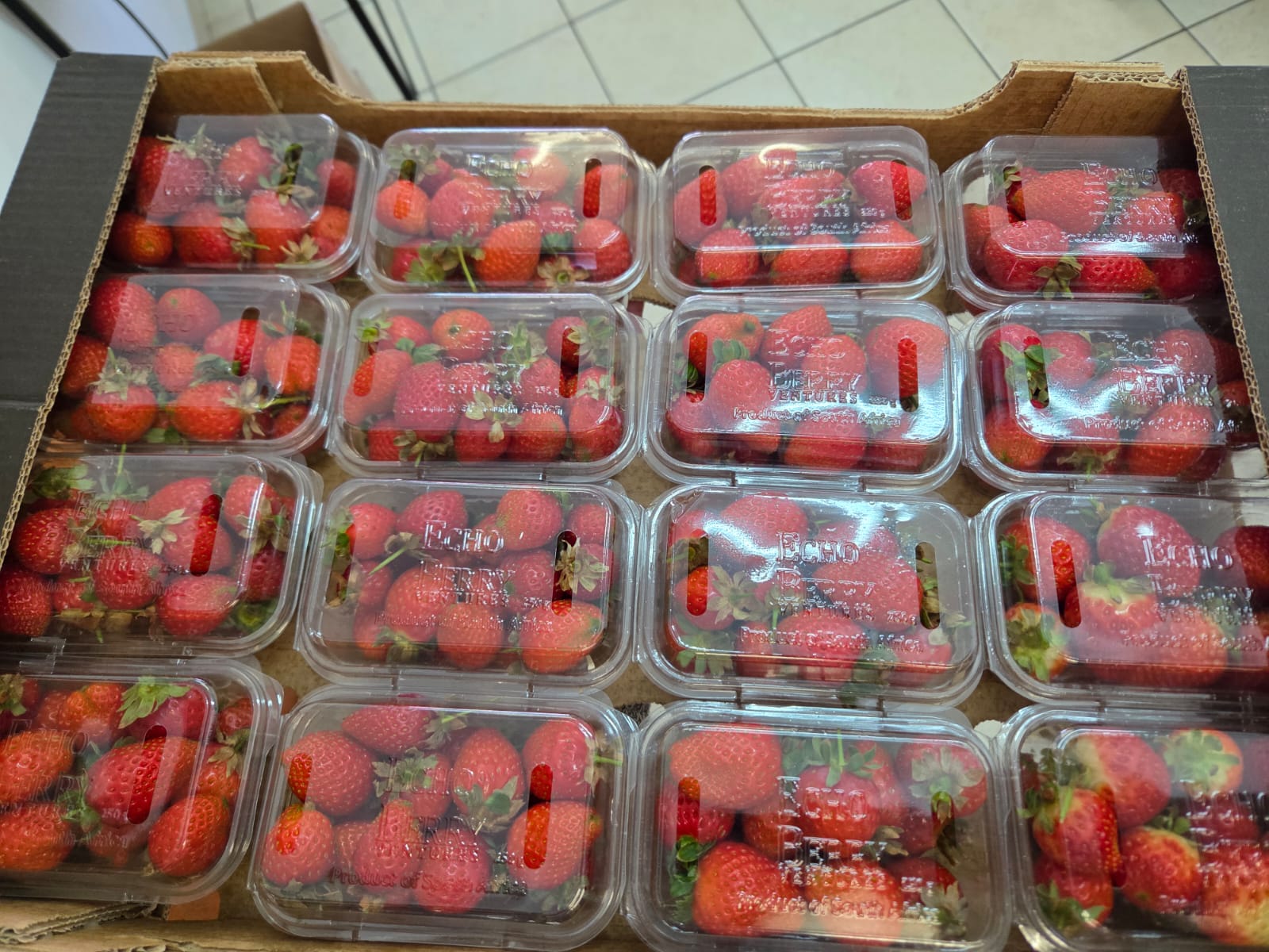 250g strawberries_0