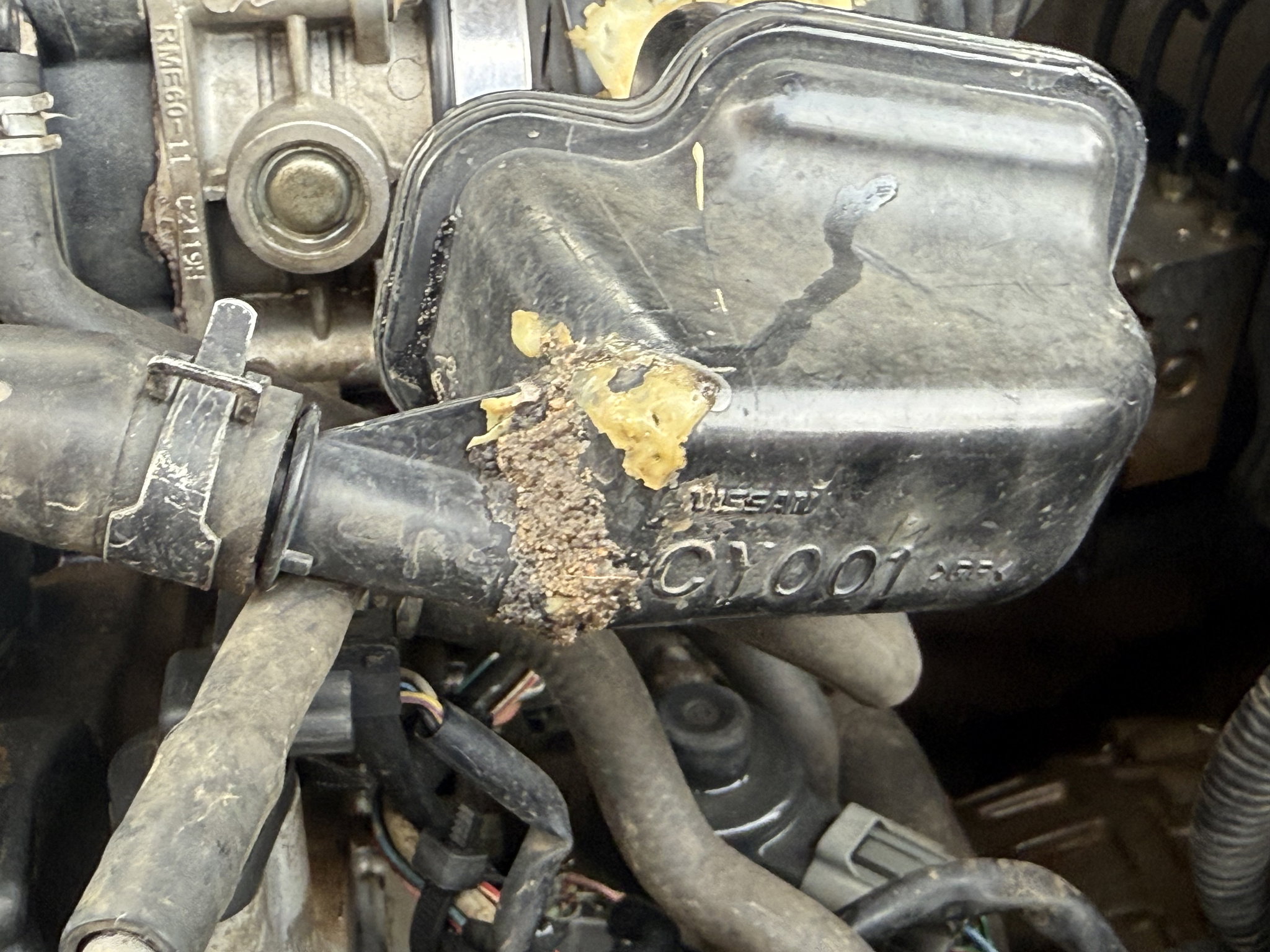 Fuel System Maintenance _1