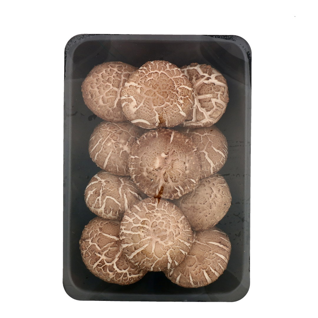 Fresh Shiitake Mushroom 香菇