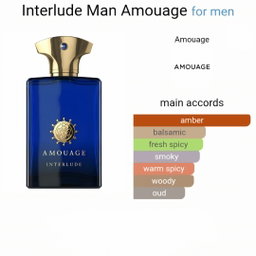 Interlude Man by Amouage 100 ML EDP