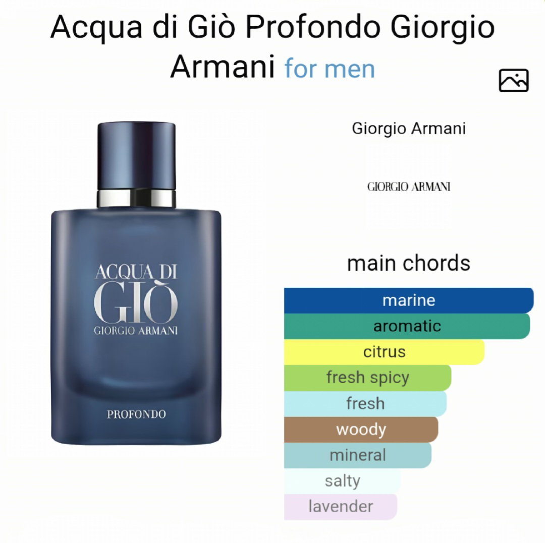 Acqua di Giò Profondo by Giorgio Armani 100 ML EDP