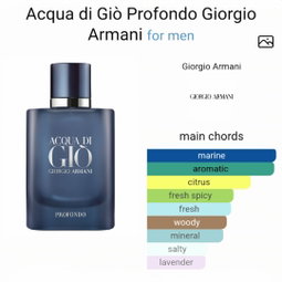 Acqua di Giò Profondo by Giorgio Armani 100 ML EDP