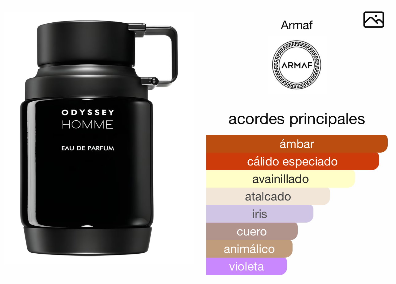 Odyssey Homme_1