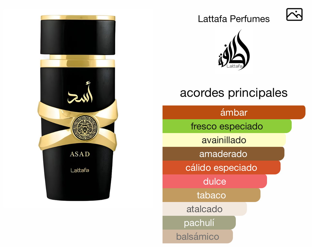 Lattafa Asad_1