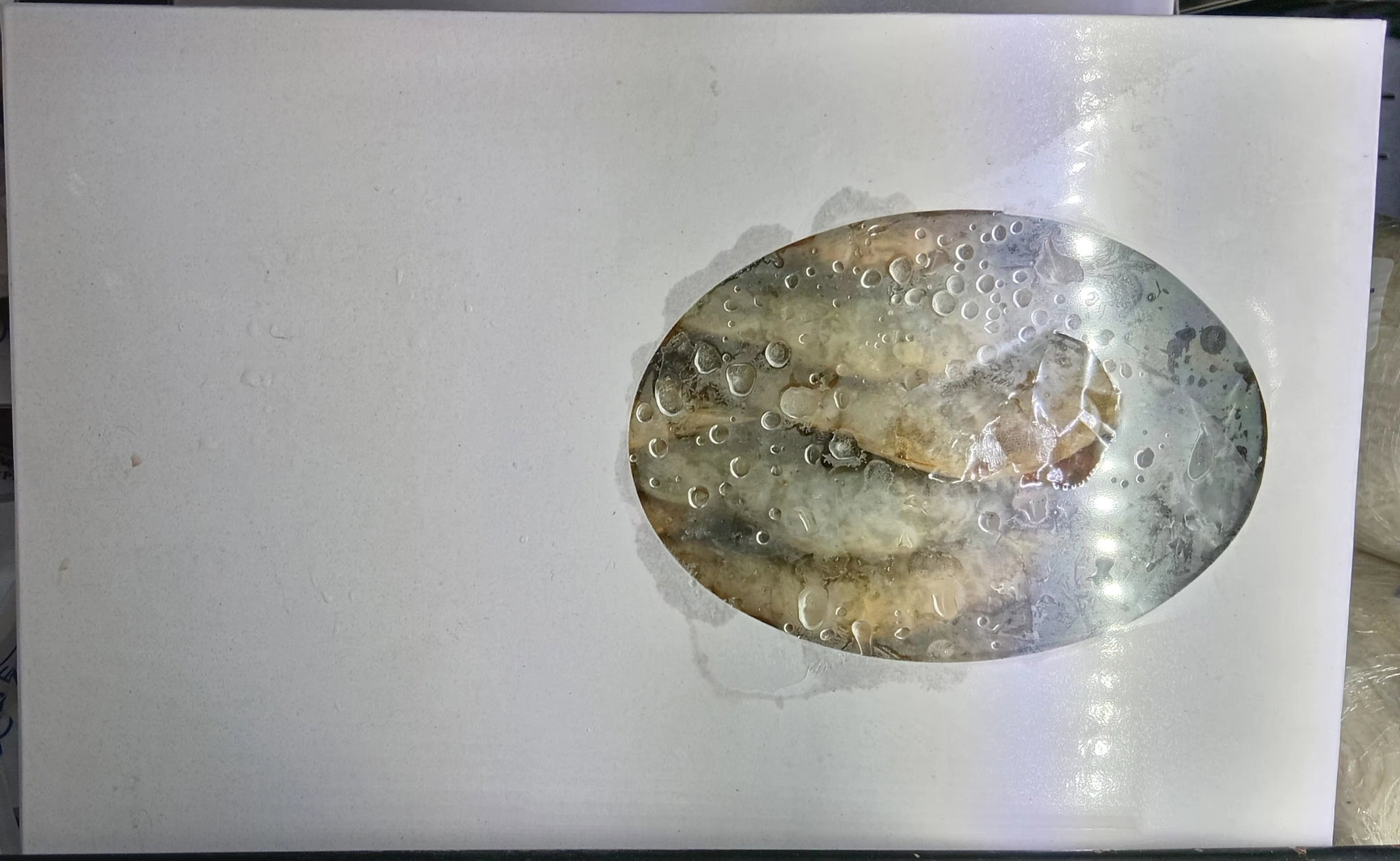 Seafresh Vannamei Prawn Raw _0