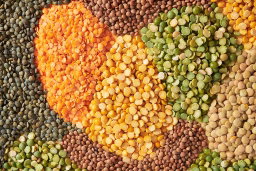 GRANIS, LENTILS AND MORE