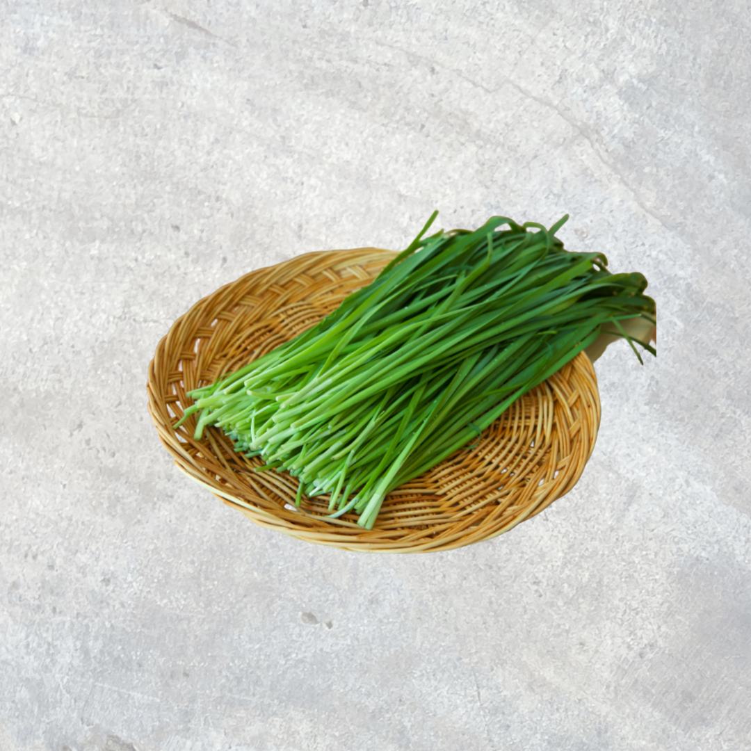 Korean Chives ニラ 부추