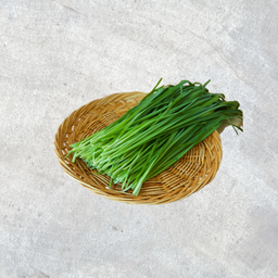 Korean Chives ニラ 부추