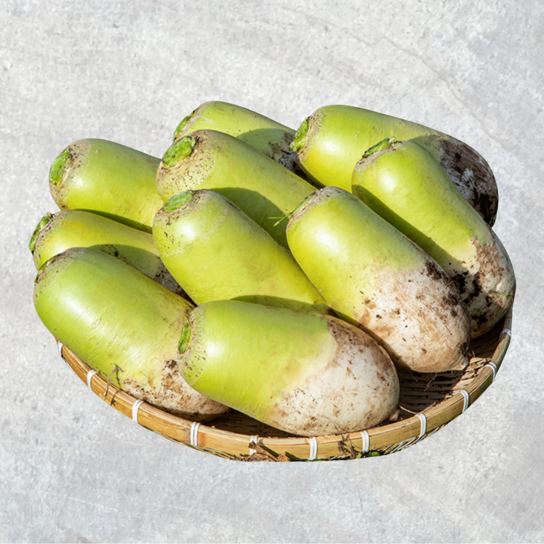 Korean Jeju White Radish_0