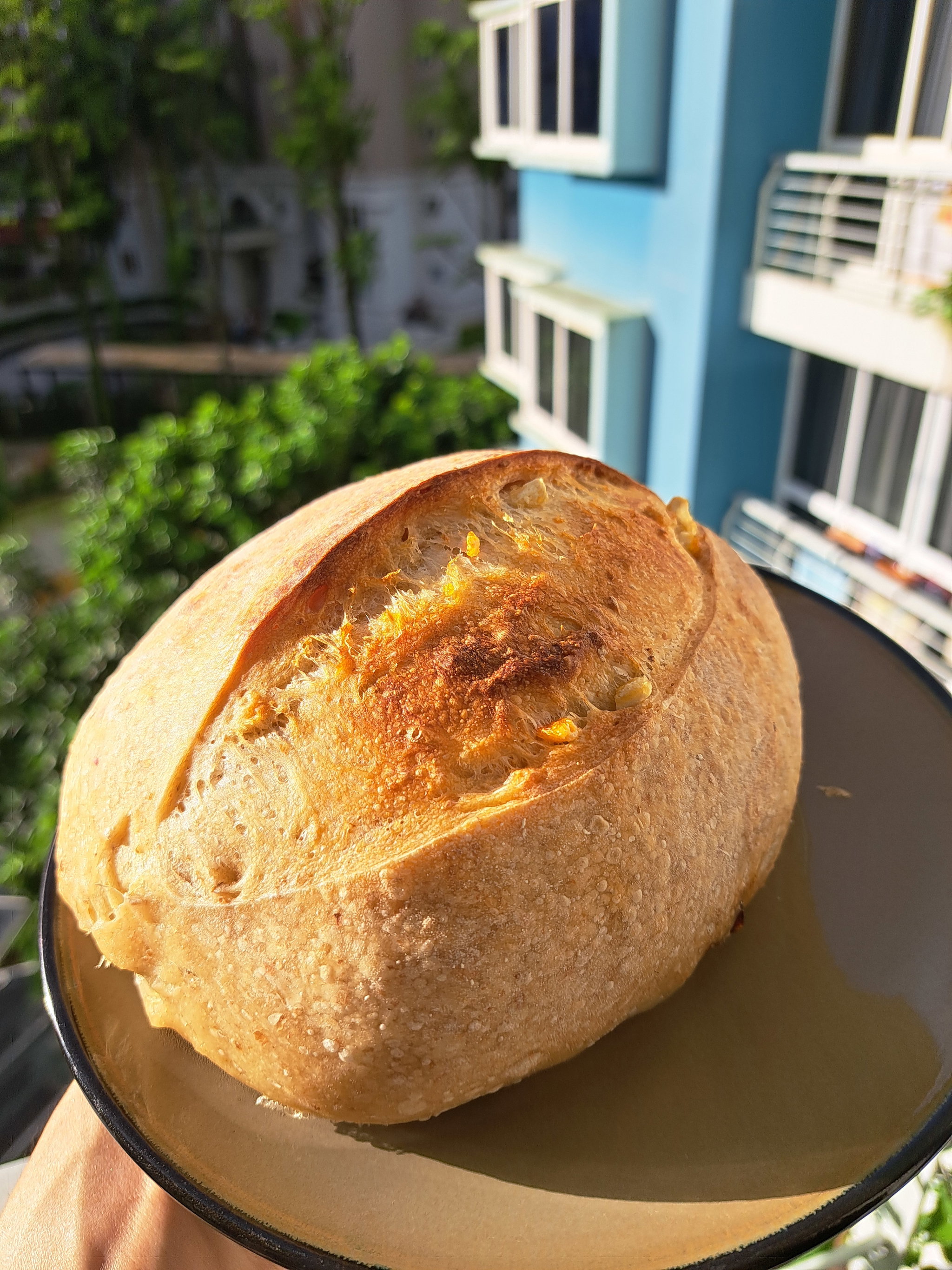 Citrus peel and Raisins Sourdough_0