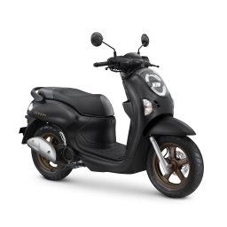 Scoopy