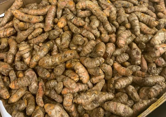 Curcuma frais/kg