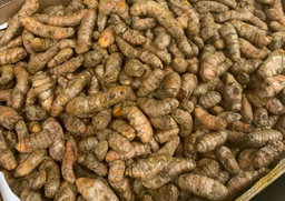Curcuma frais/kg