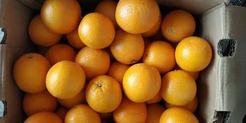 Orange imported /kg_0