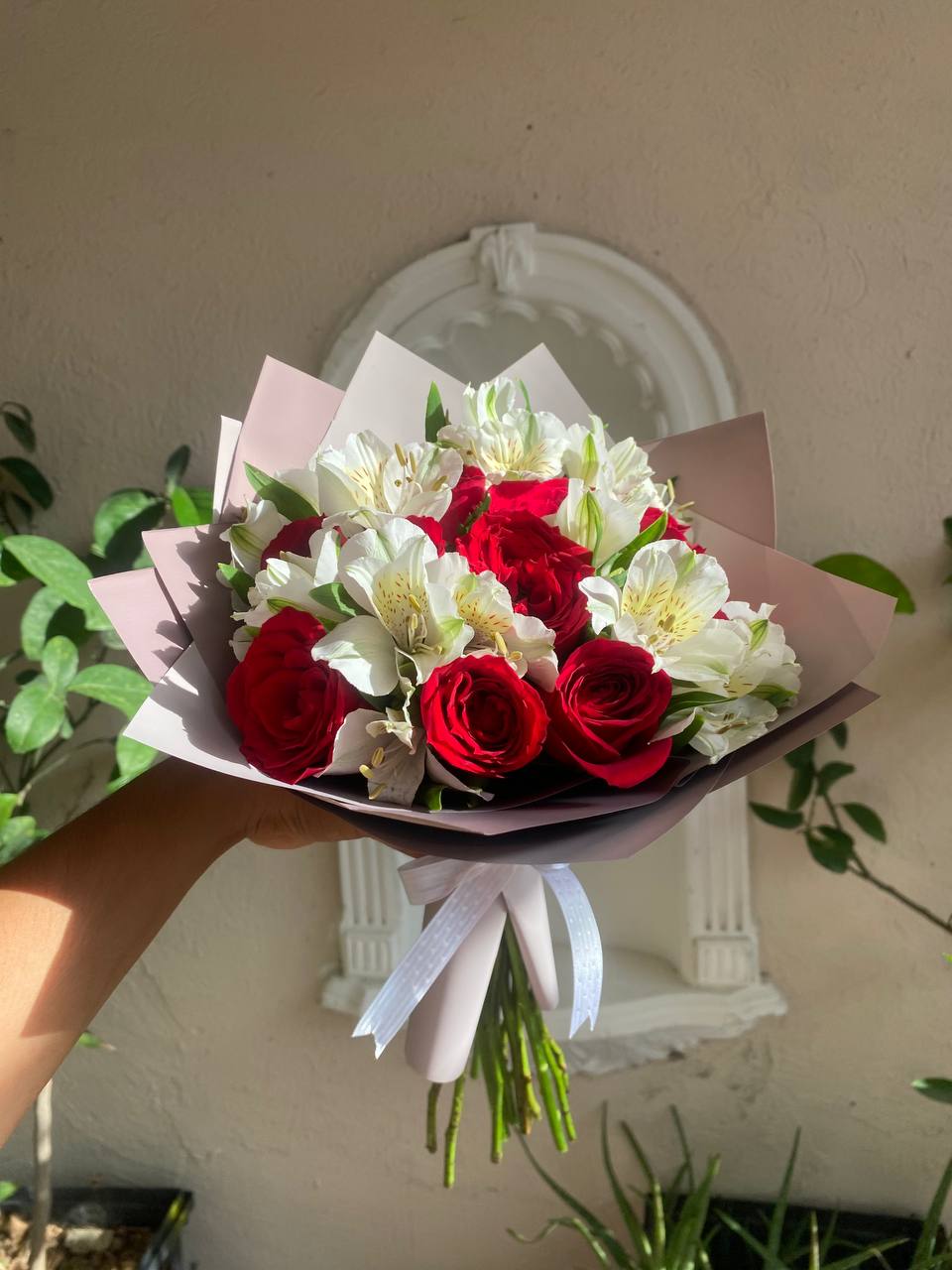 rosas petit sweet