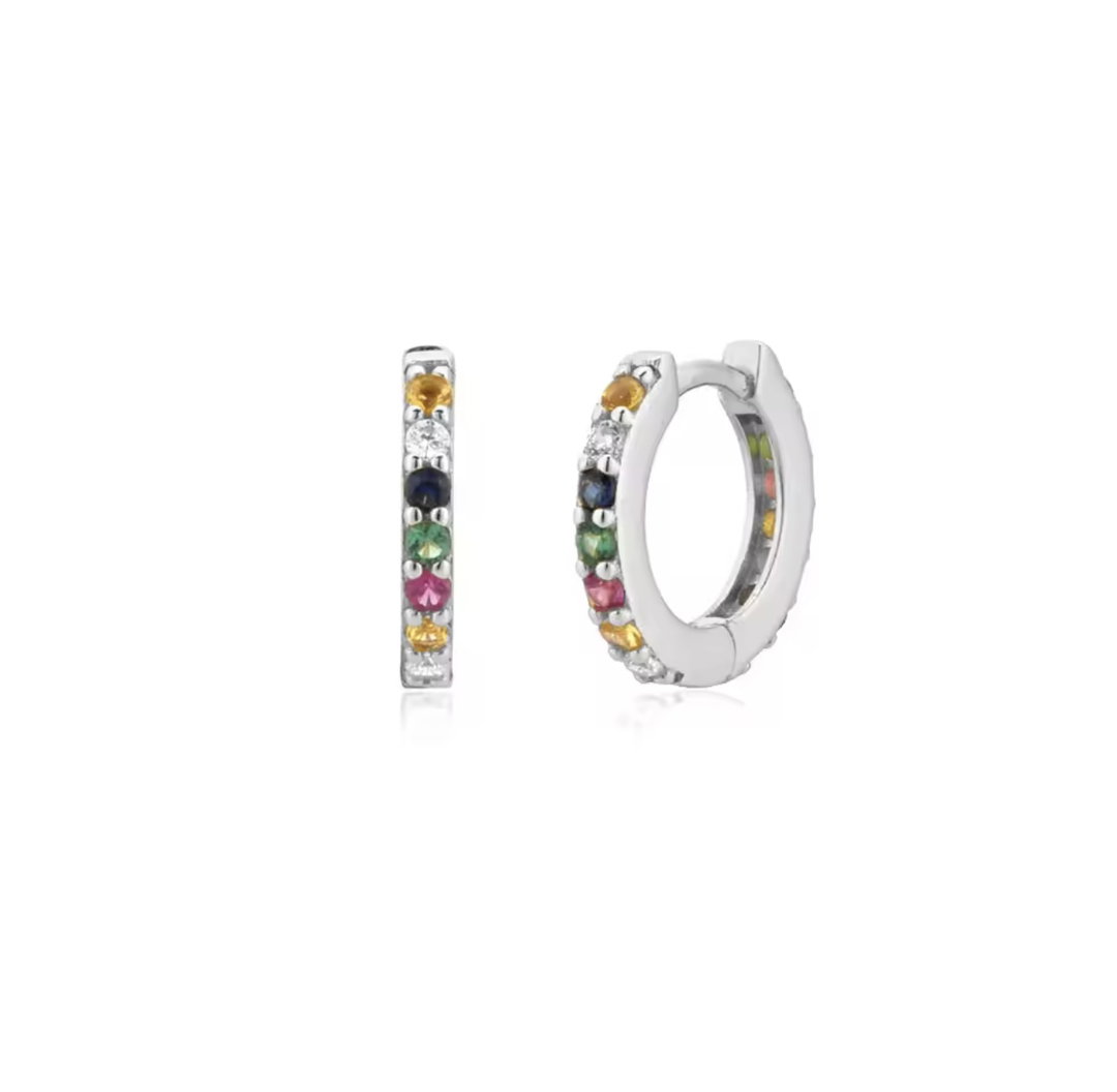 Silver varied hoops 