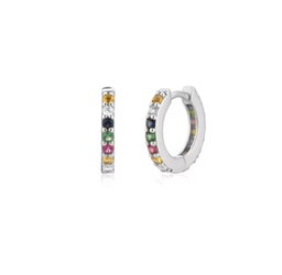 Silver varied hoops 