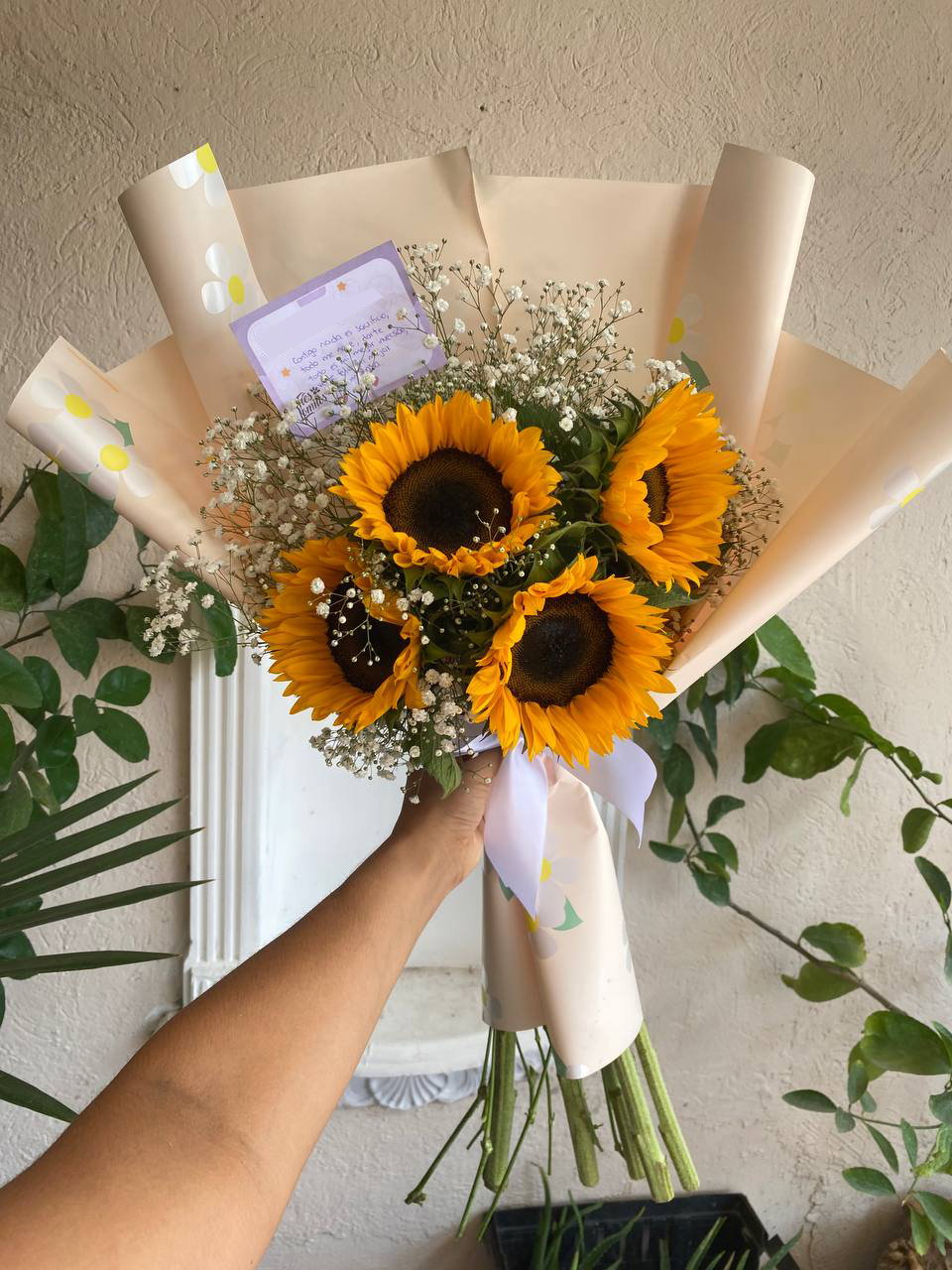 5 Girasoles en las nubes_0