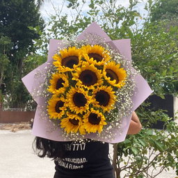 10 girasoles en las nubes