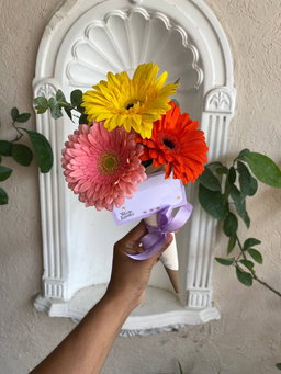 Cono de gerberas