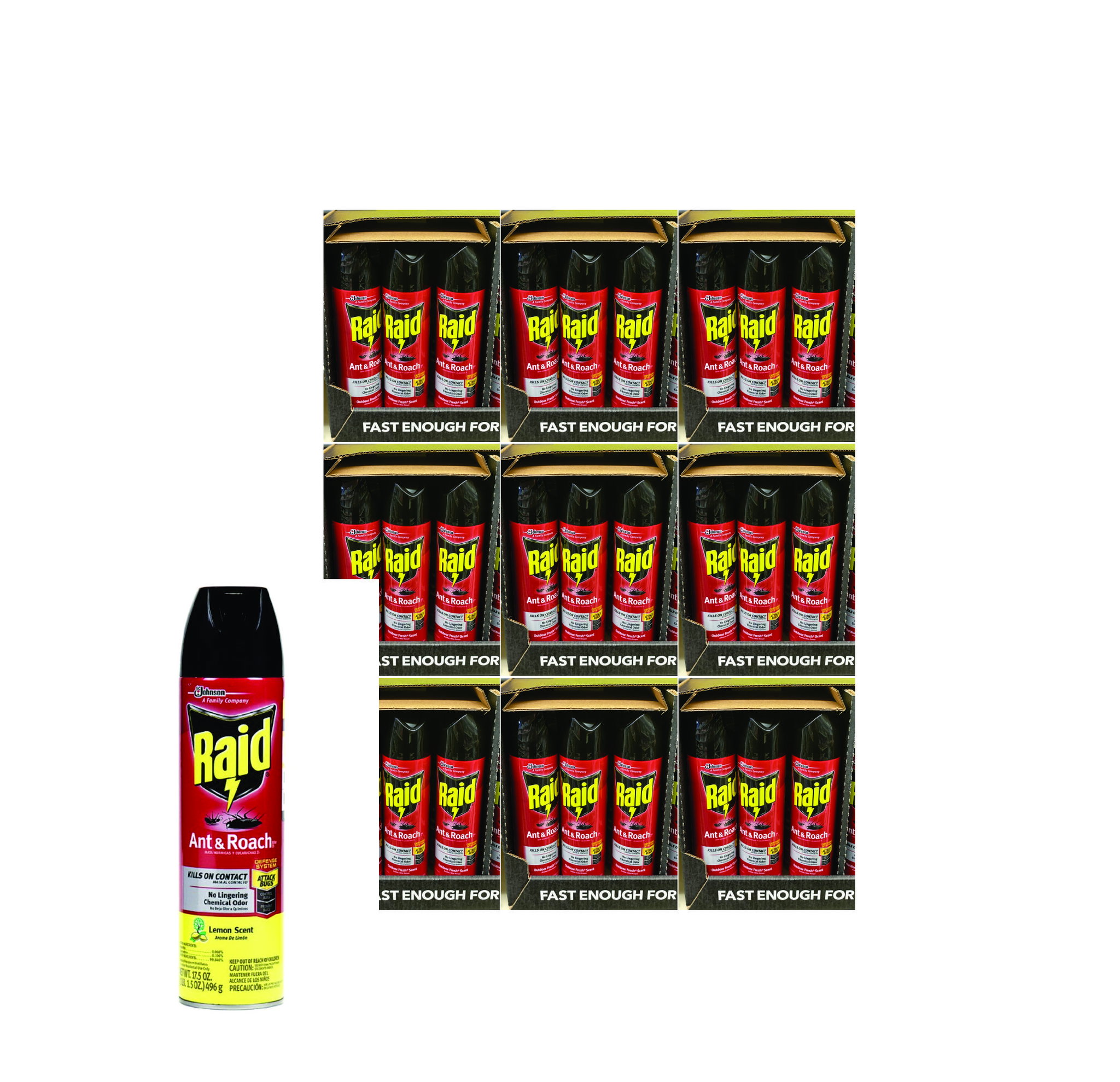 RAID INSECTICIDE BIG_0
