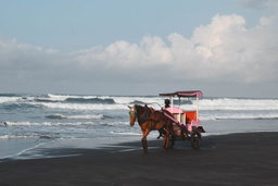 Paket E
