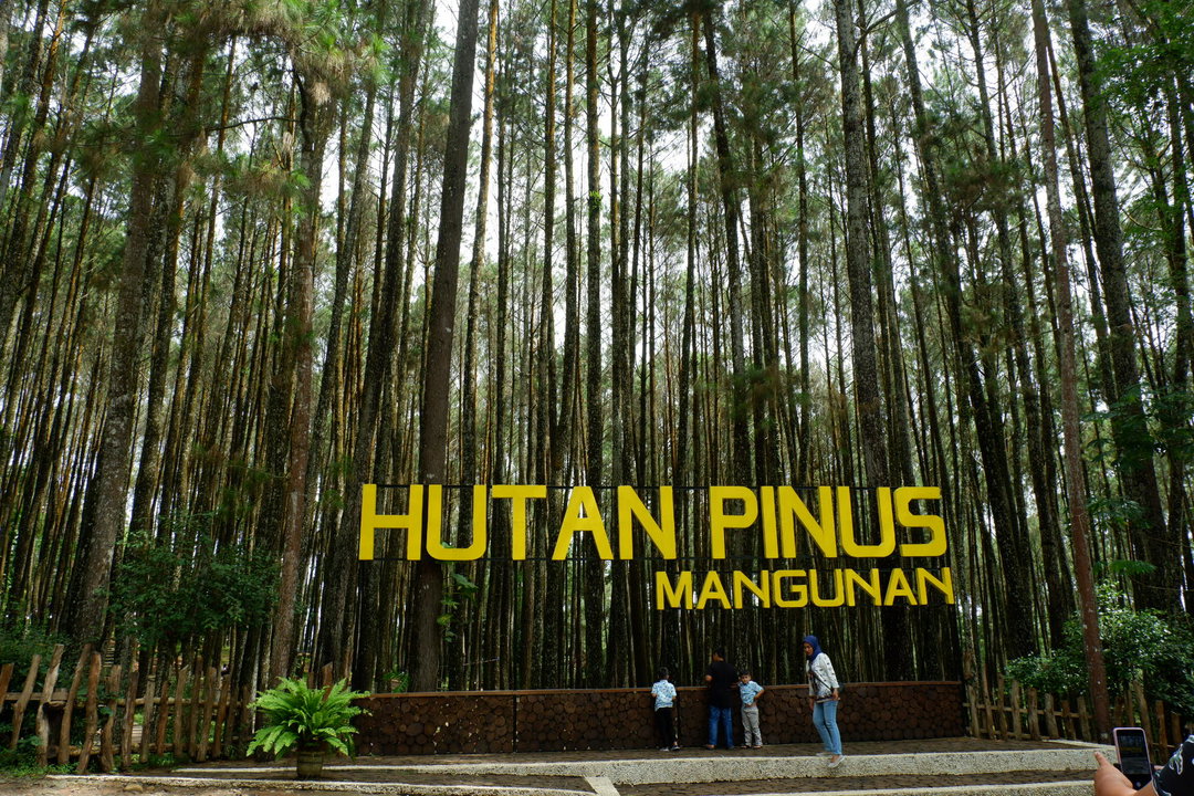 Paket G