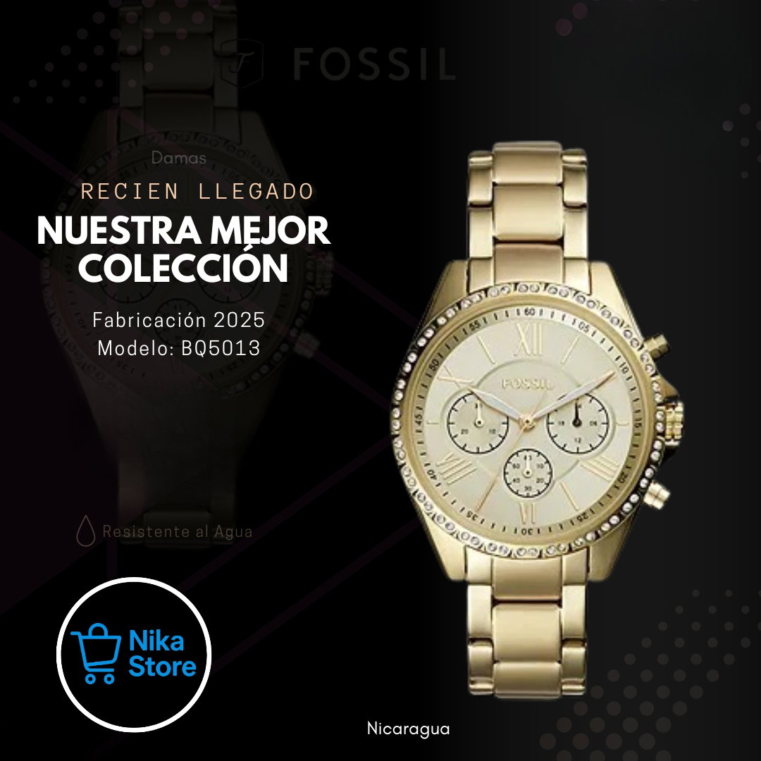 FOSSIL BQ5013.2_0