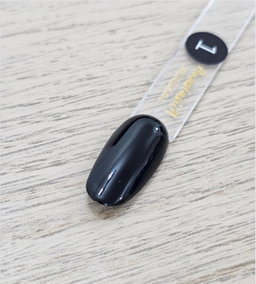 Gel Polish “AnastasiiA Professional” 15 ml