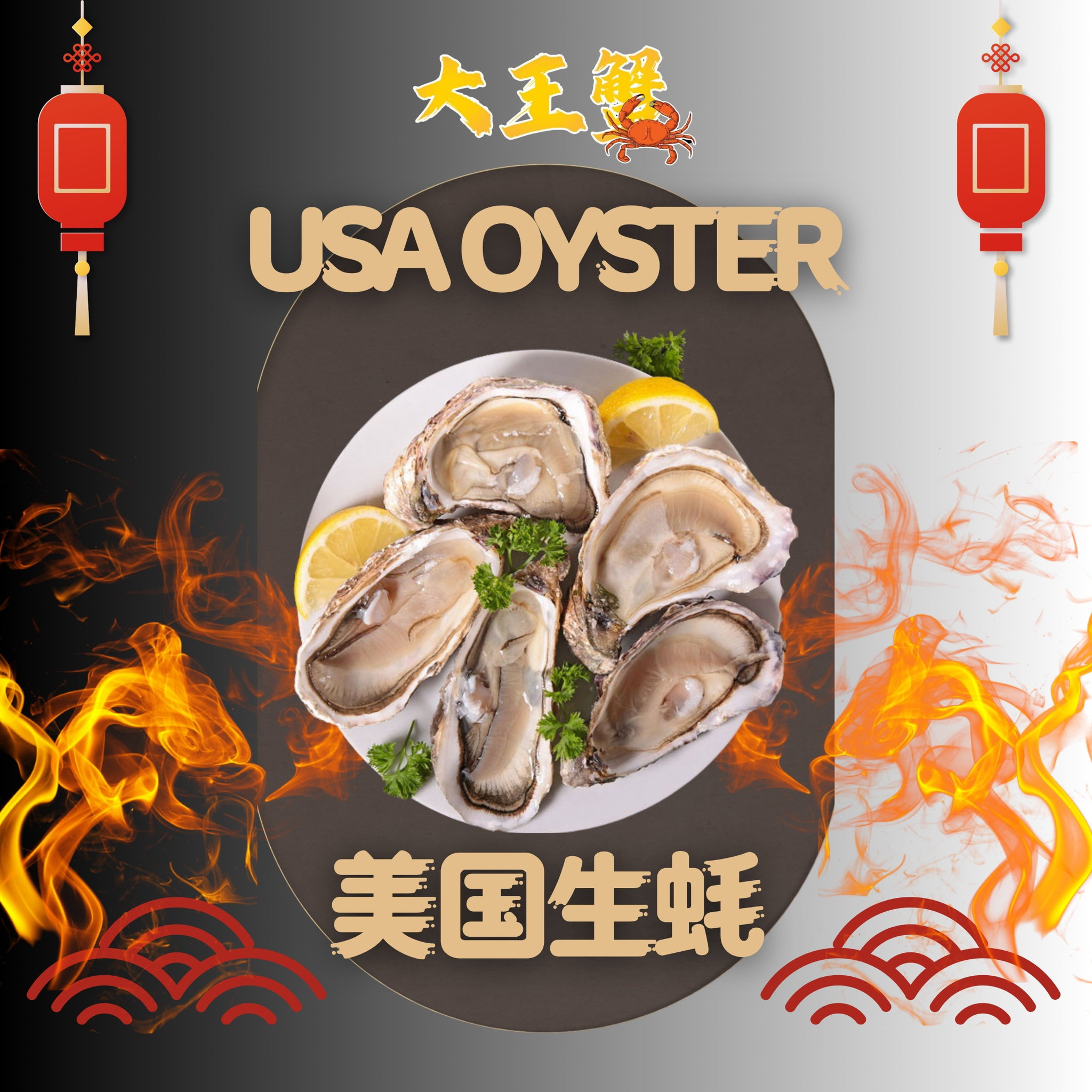 XL USA OYSTER 美国生蚝_0