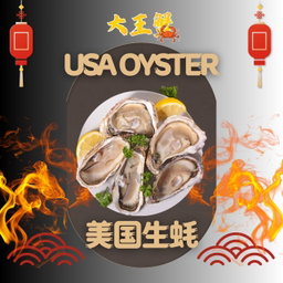 XL USA OYSTER 美国生蚝