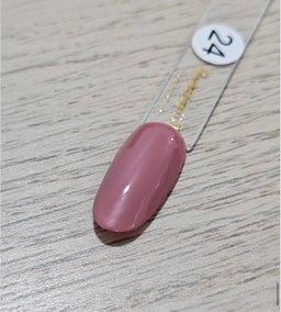 Gel Polish #24