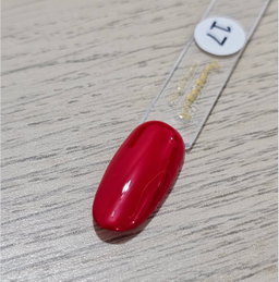 Gel Polish #17