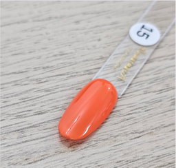 Gel Polish #15