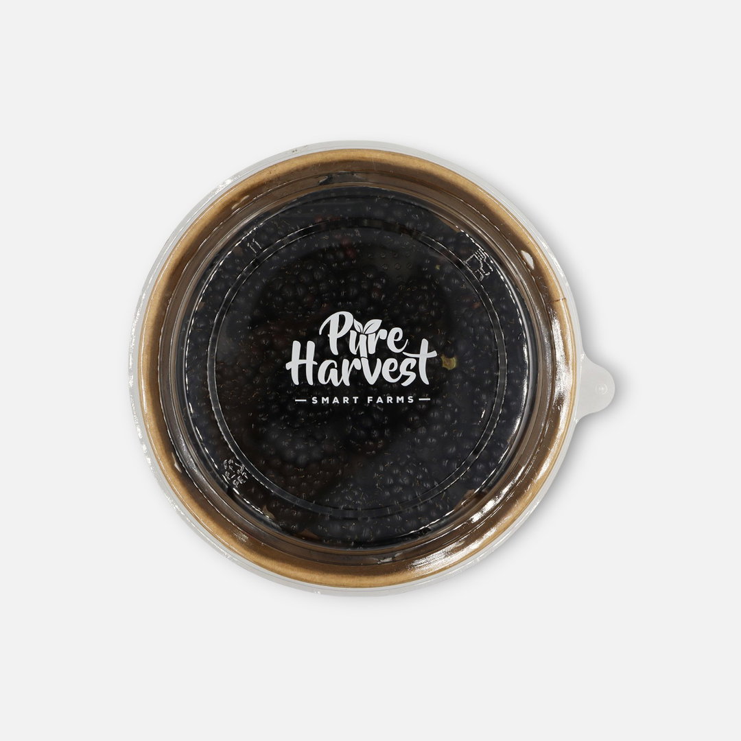 Pure Harvest Blackberries 170g