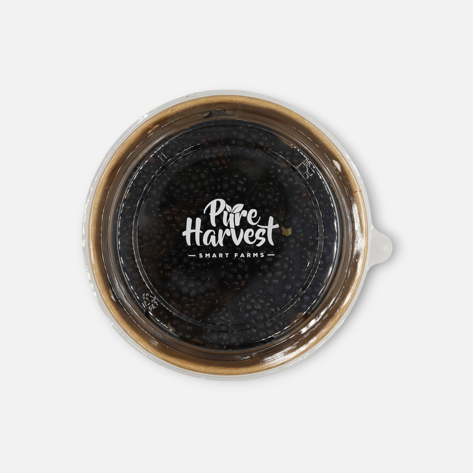 Pure Harvest Blackberries 170g_0