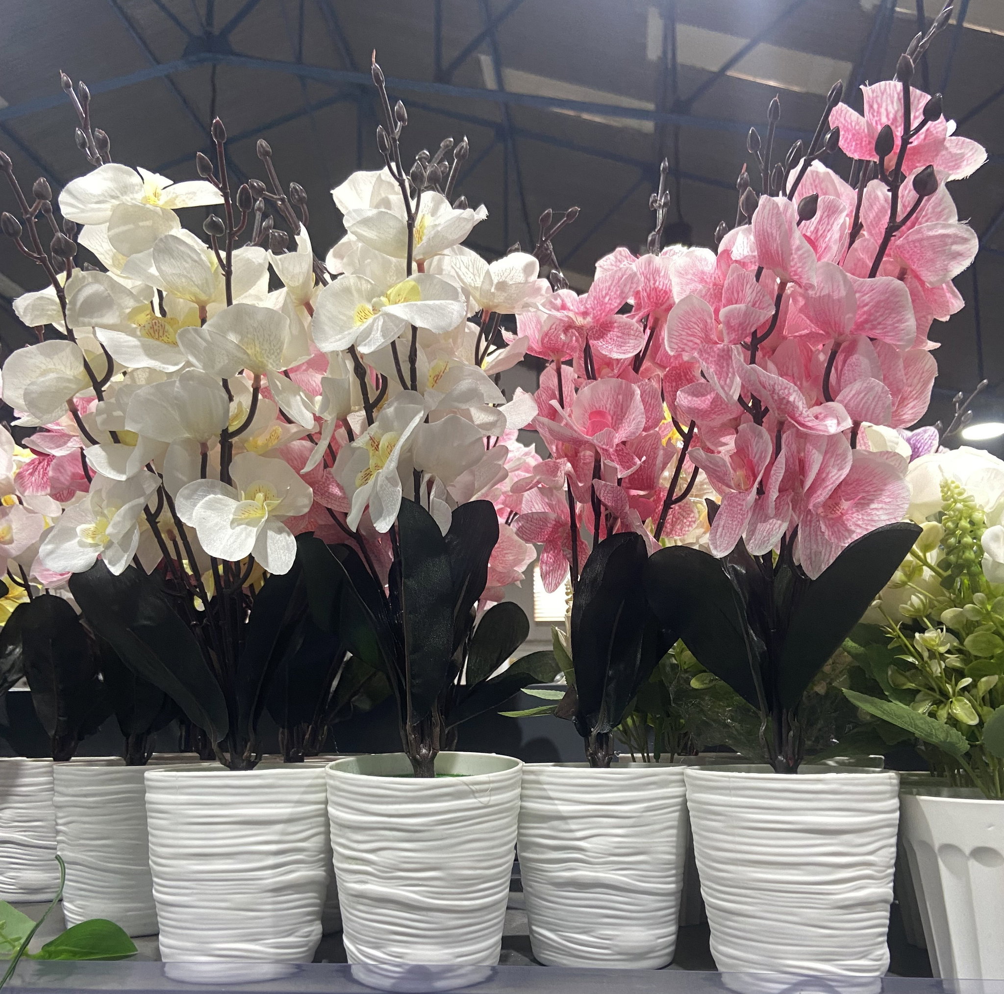 🌸 Orchidées Déco_0