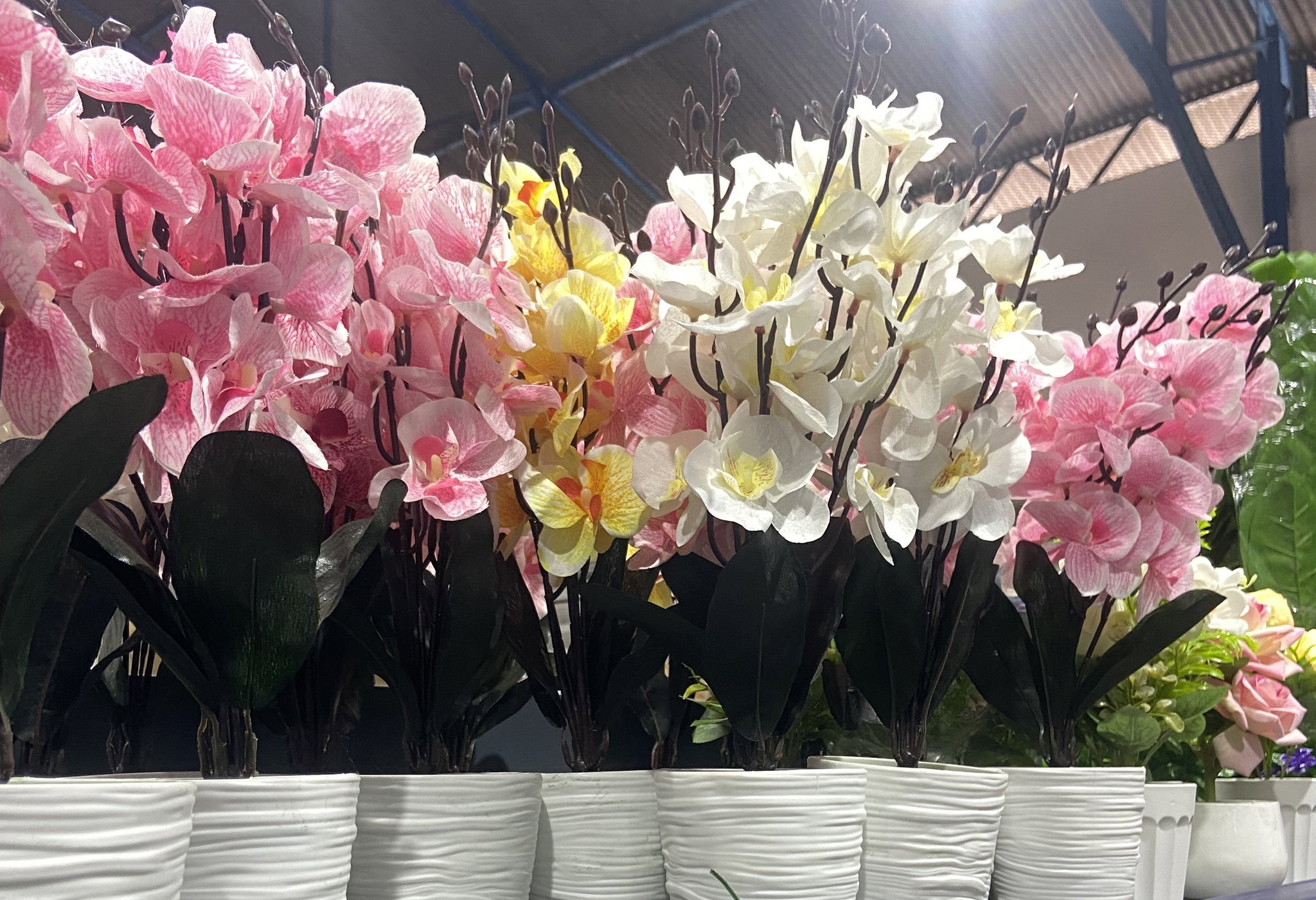 🌸 Orchidées Déco_1