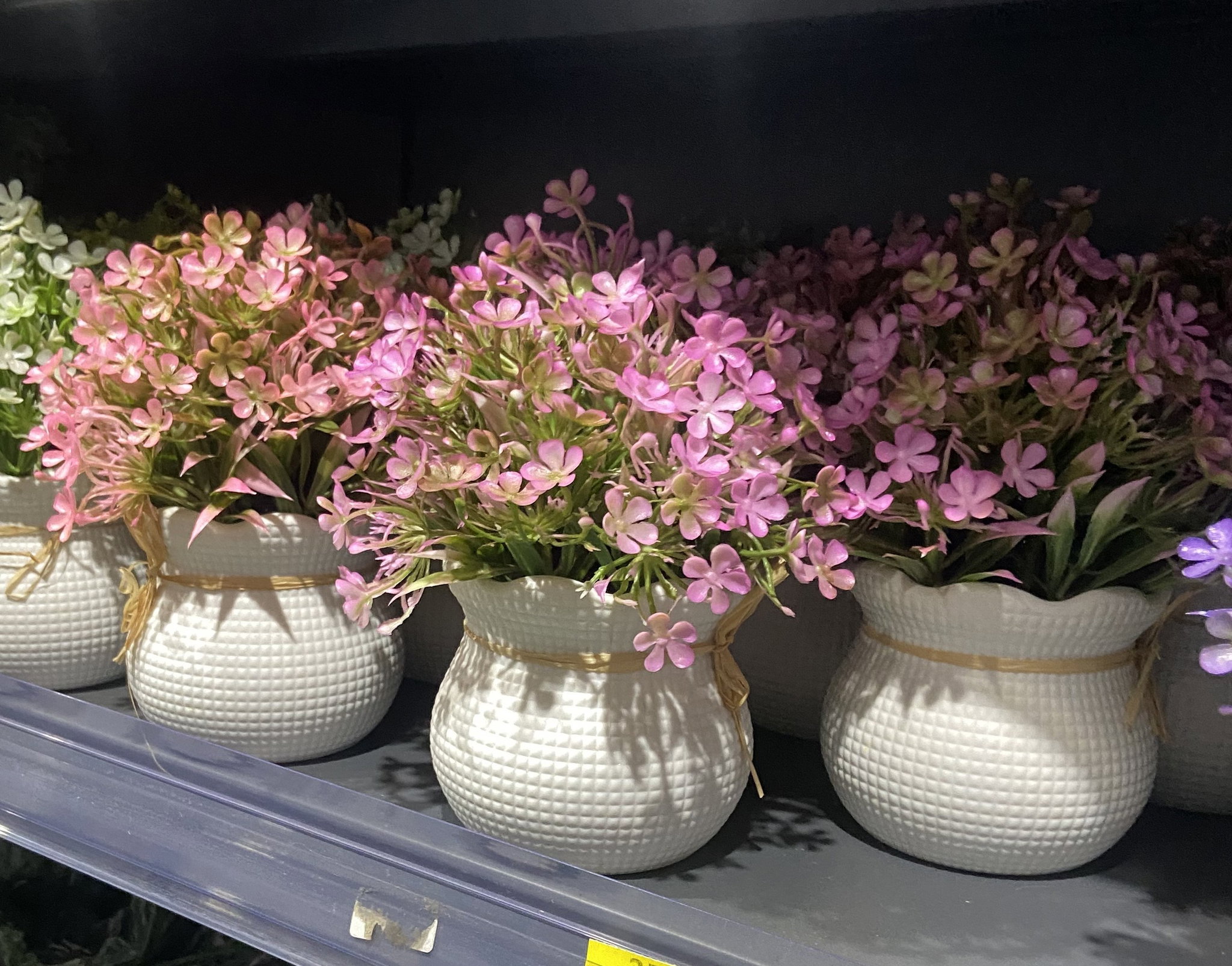 🌷 Fleur en pot_0