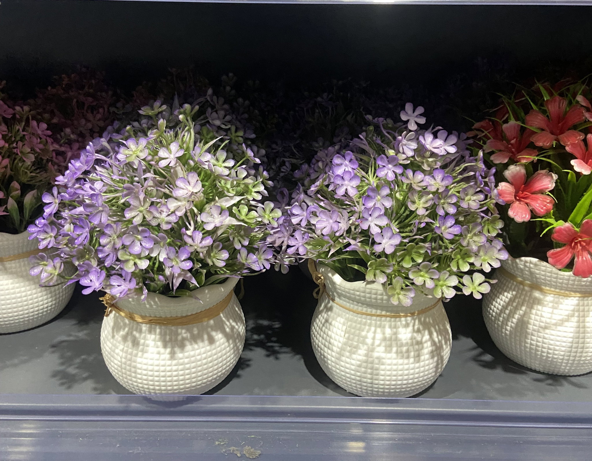 🌷 Fleur en pot_2