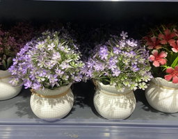 🌷 Fleur en pot