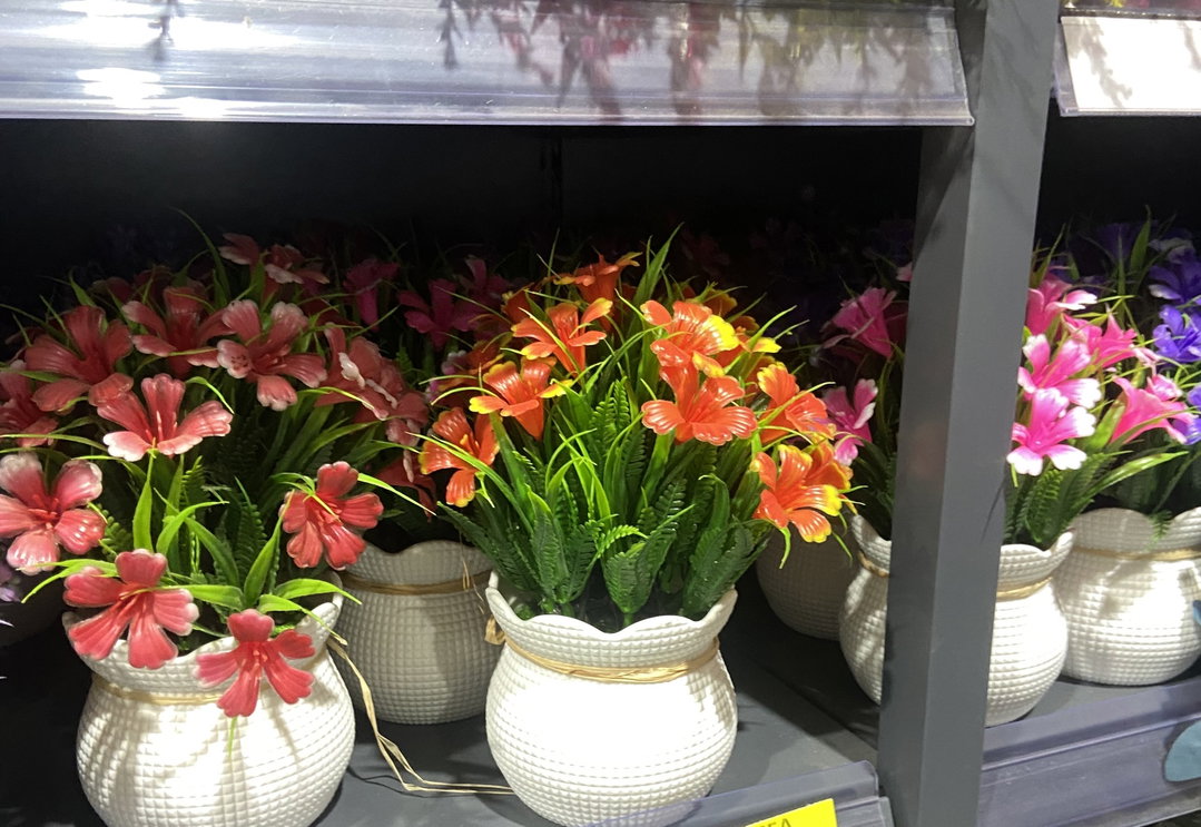 🌺 Pot Fleuri Coloré – Éclat & Élégance 🌿