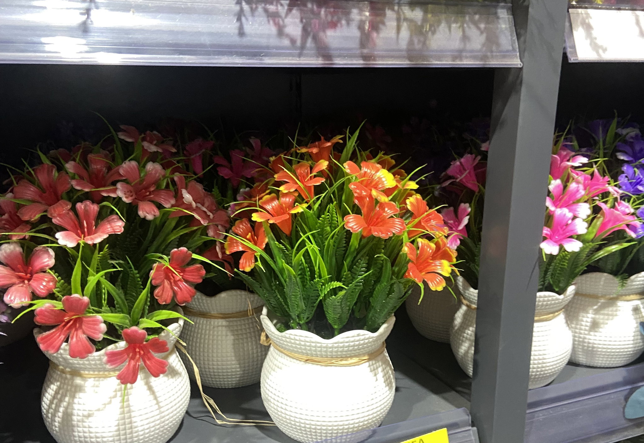 🌺 Pot Fleuri Coloré – Éclat & Élégance 🌿_0