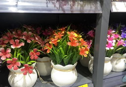 🌺 Pot Fleuri Coloré – Éclat & Élégance 🌿