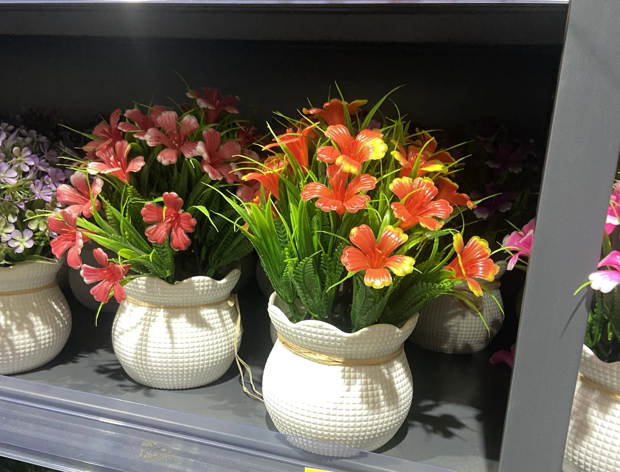 🌺 Pot Fleuri Coloré – Éclat & Élégance 🌿_1