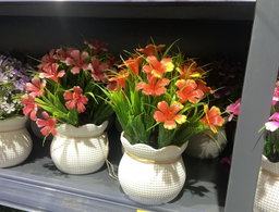 🌺 Pot Fleuri Coloré – Éclat & Élégance 🌿