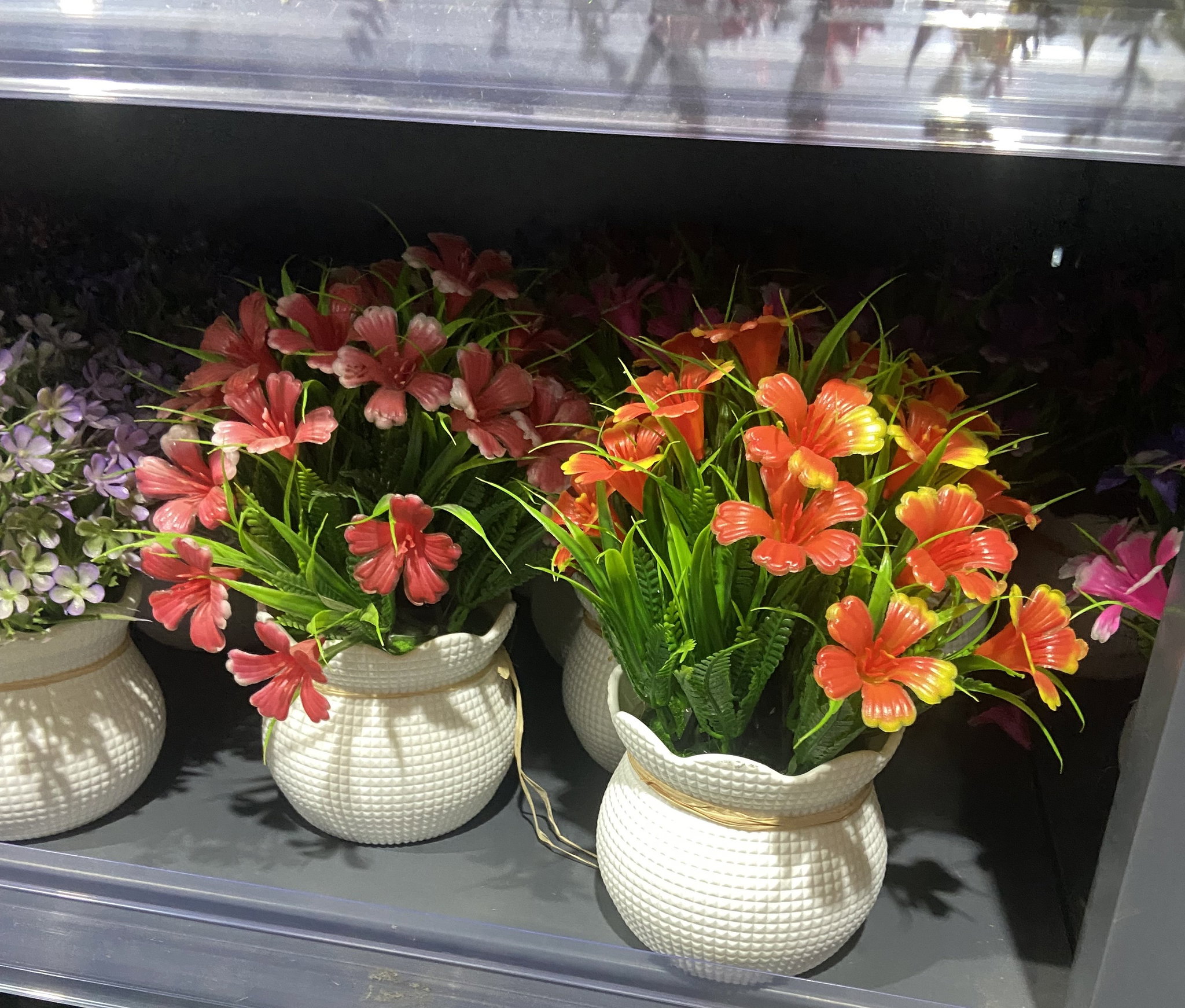 🌺 Pot Fleuri Coloré – Éclat & Élégance 🌿_2