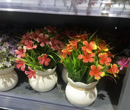 🌺 Pot Fleuri Coloré – Éclat & Élégance 🌿